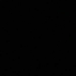 Meet your Posher, Bella